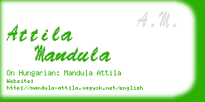 attila mandula business card